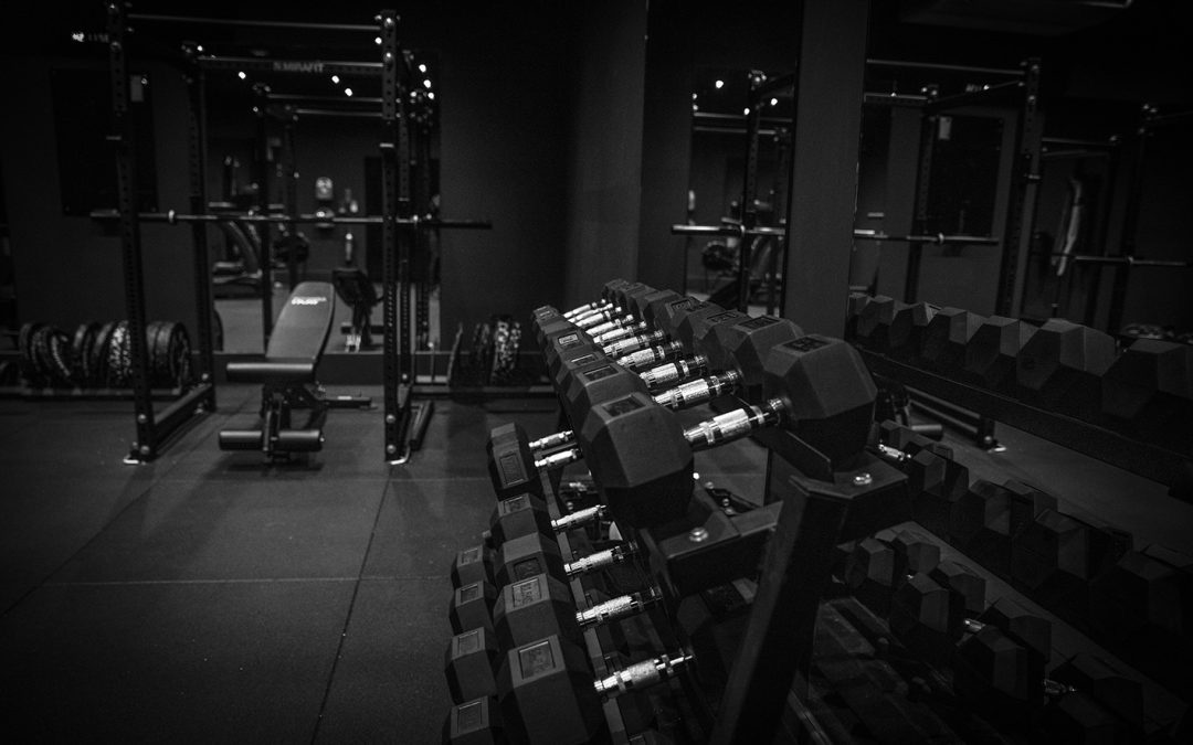 Free weights on rack in gym